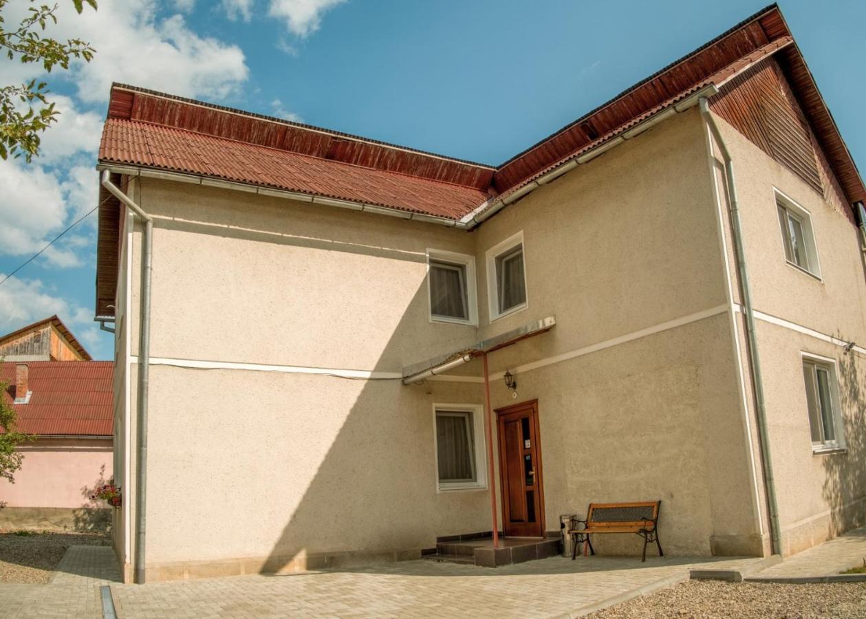 Pensiunea Selena Vişeu de Sus Exteriör bild