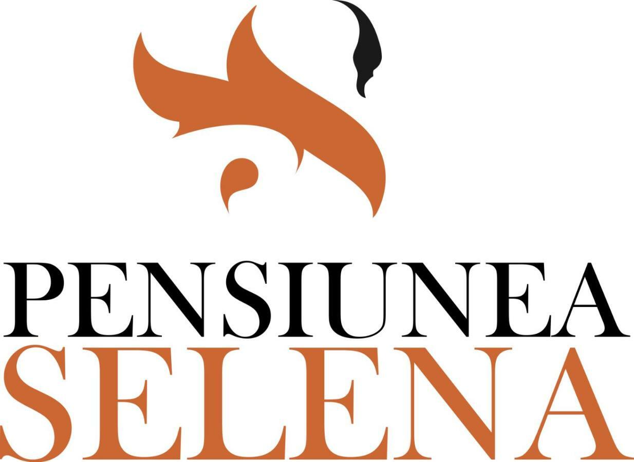 Pensiunea Selena Vişeu de Sus Exteriör bild