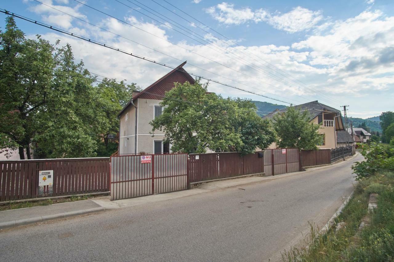 Pensiunea Selena Vişeu de Sus Exteriör bild